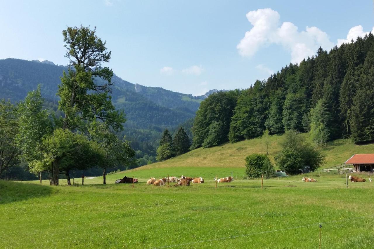 Gschwendtnerhof App13 Lincke Apartment Aschau im Chiemgau Exterior foto